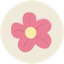 Wonderland Capital